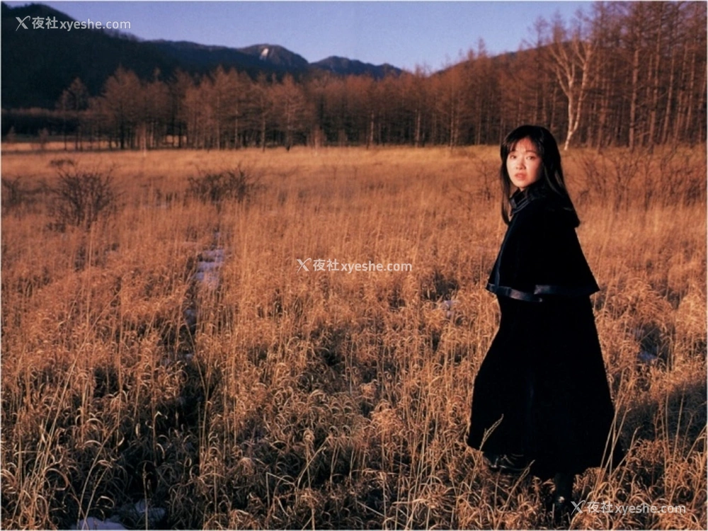 1P - 荻野目庆子《Accidents Series 2》