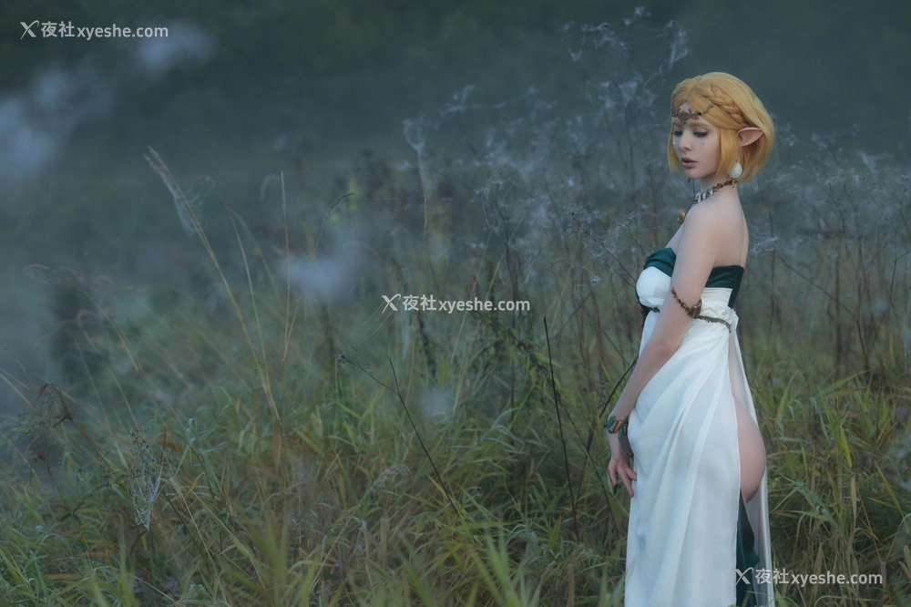 1P - Vinnegal《Zelda》