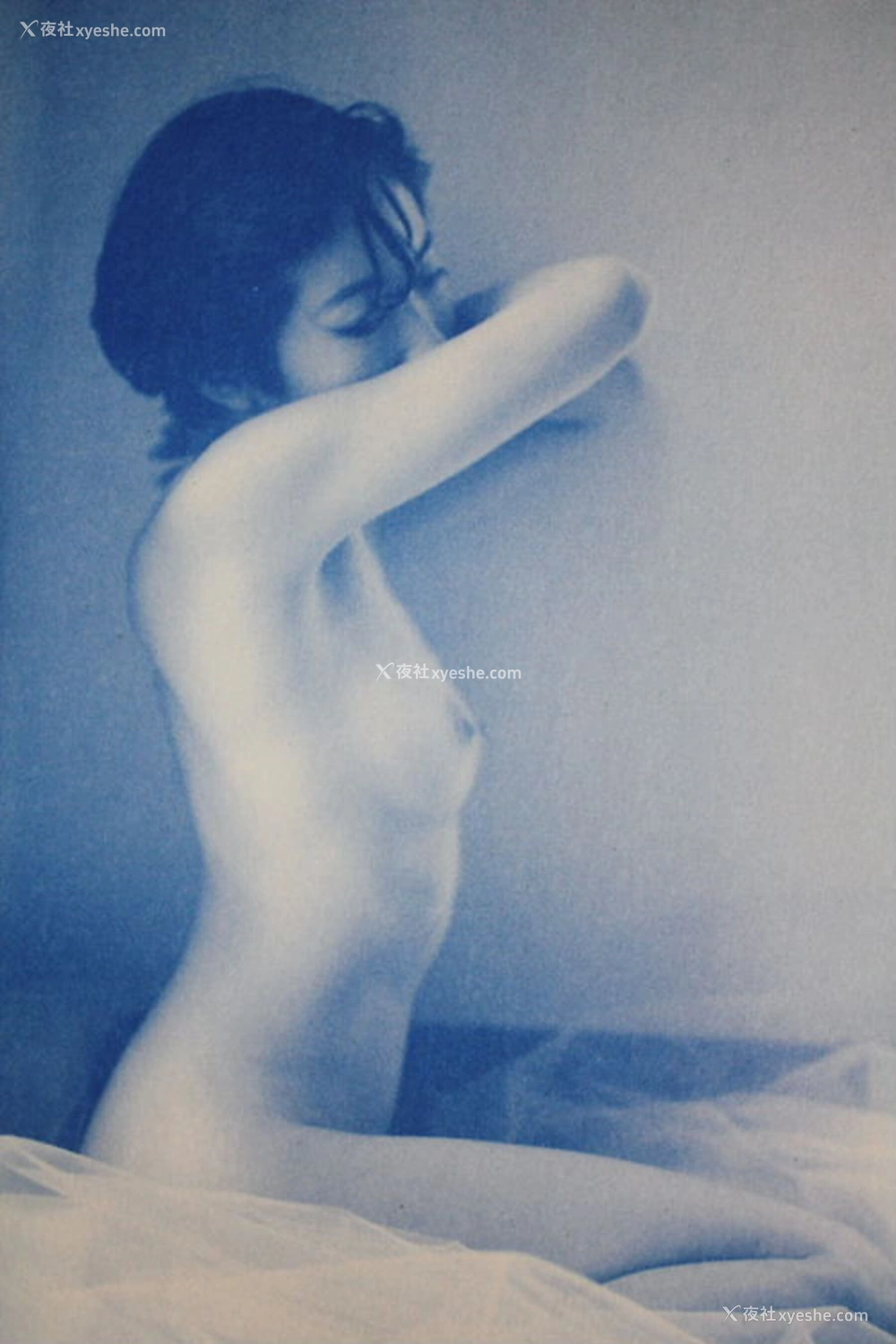 1P - 荻野目庆子《Breezy day》