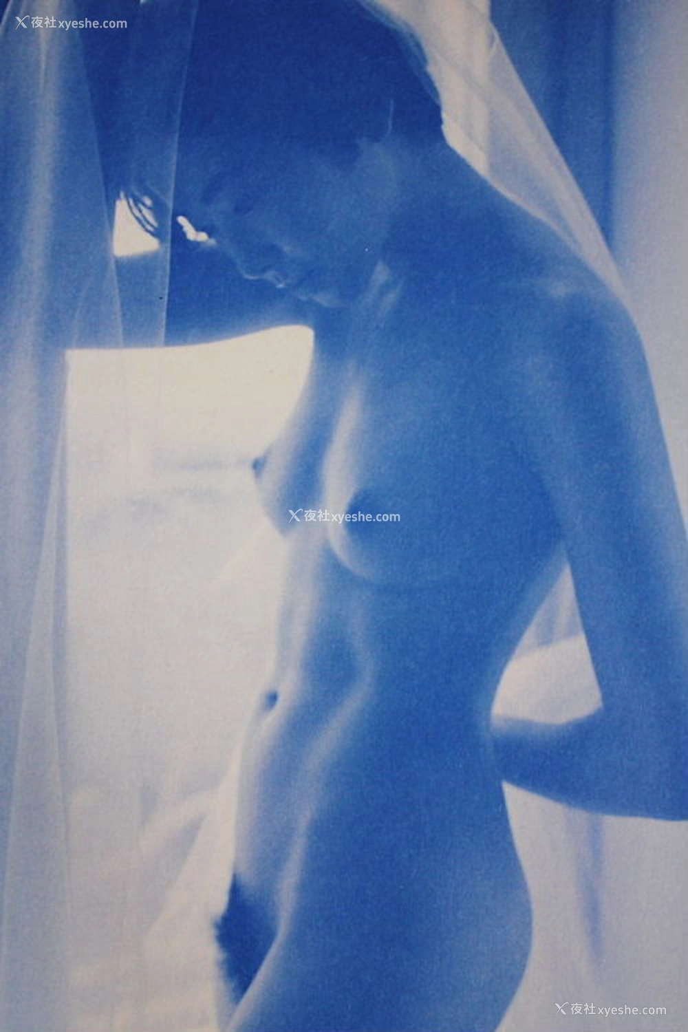 1P - 荻野目庆子《Breezy day》