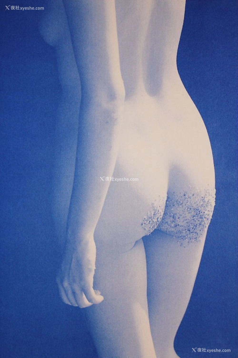 1P - 荻野目庆子《Breezy day》