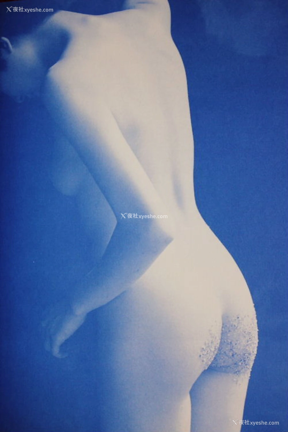 1P - 荻野目庆子《Breezy day》