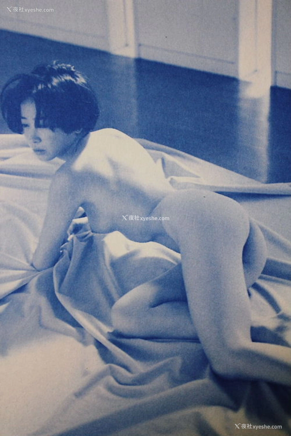 1P - 荻野目庆子《Breezy day》
