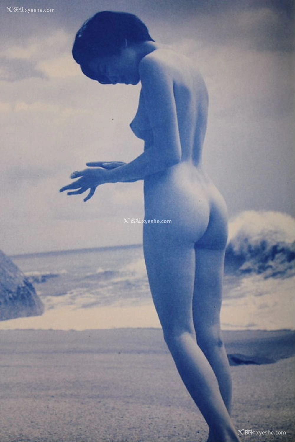 1P - 荻野目庆子《Breezy day》