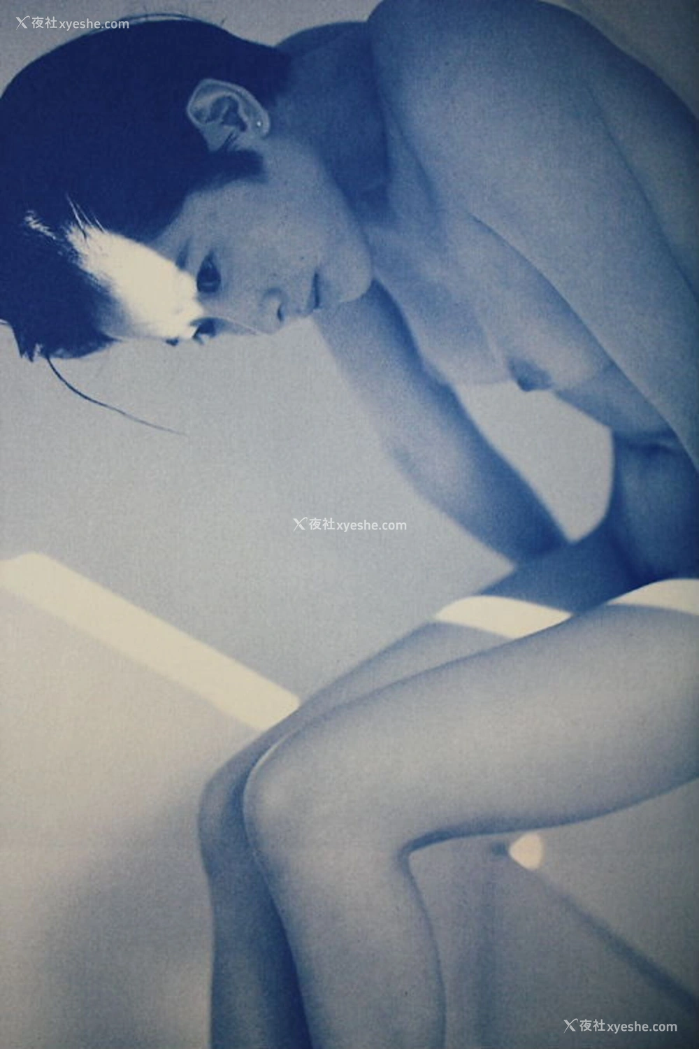 1P - 荻野目庆子《Breezy day》