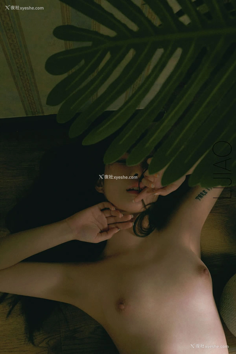 1P - 摄影师LiJiao出品众美女无圣光人体合集4
