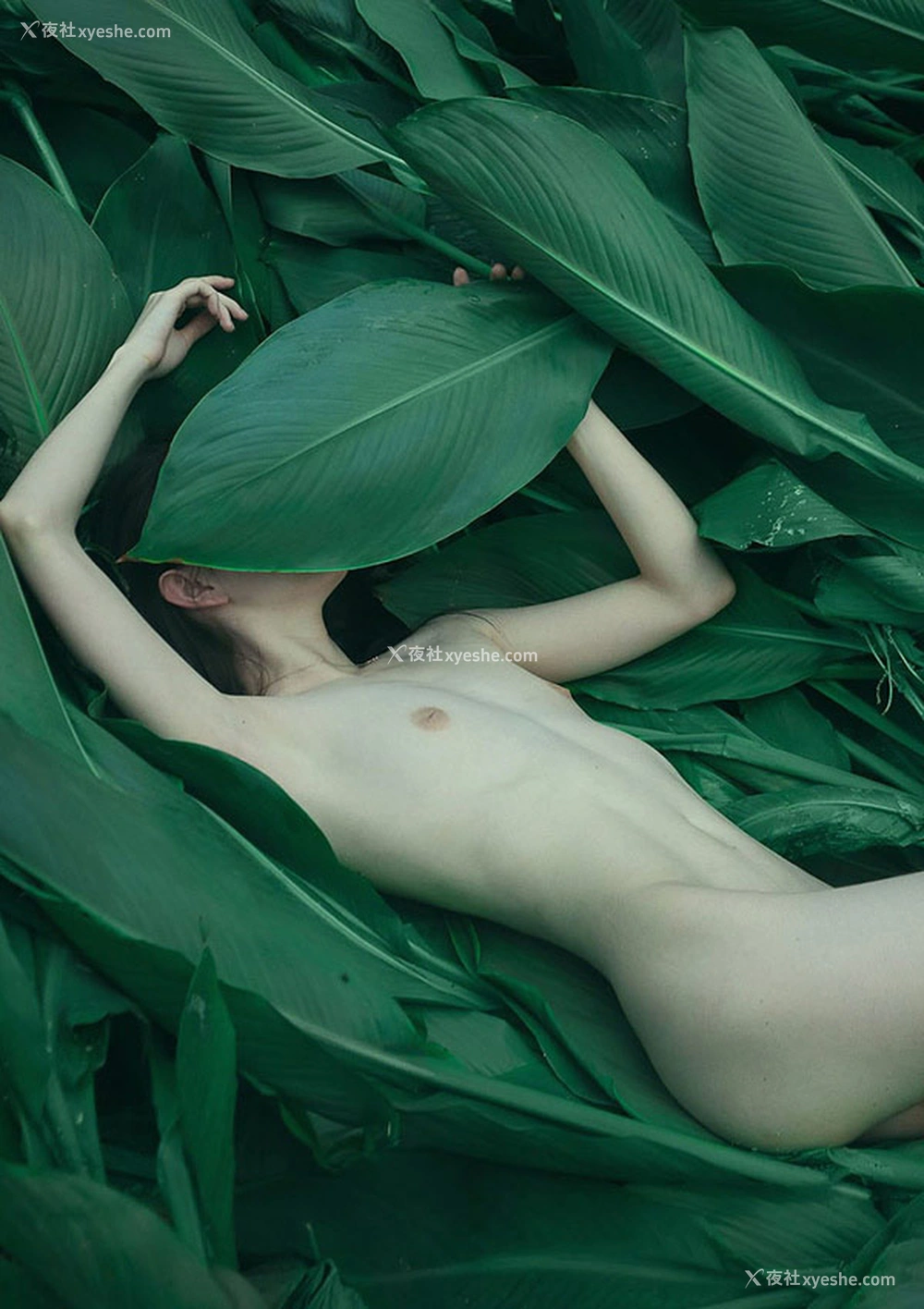 1P - 摄影师复活空间2023出品无圣光美女合集