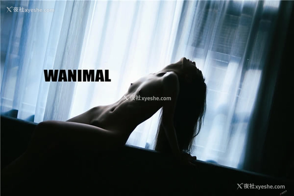 1P - 王动wanimal作品之2017年1月VIP无圣光人体艺术套图