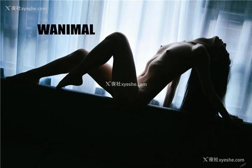 1P - 王动wanimal作品之2017年1月VIP无圣光人体艺术套图