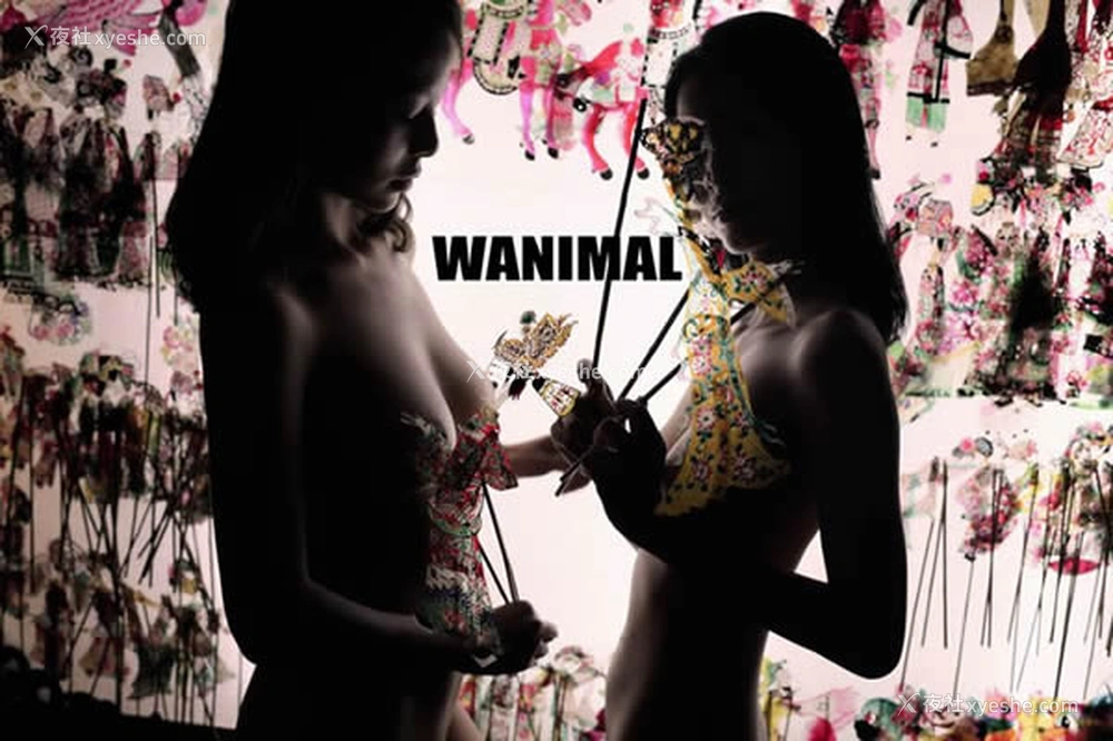 1P - WANIMAL王动出品2017年12月皮影戏系列无圣光写真
