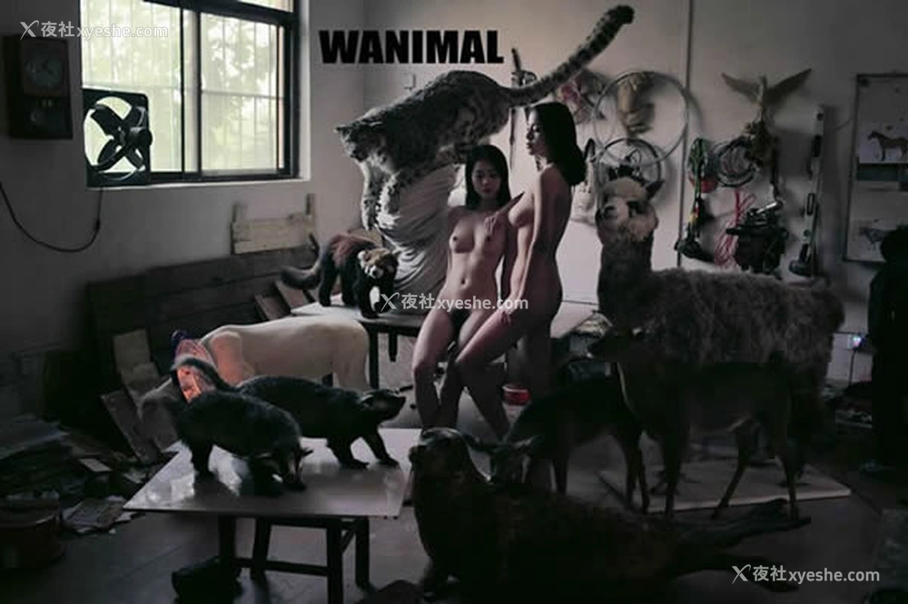 1P - WANIMAL王动出品2017年12月皮影戏系列无圣光写真