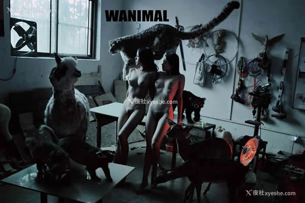 1P - WANIMAL王动出品2017年12月皮影戏系列无圣光写真