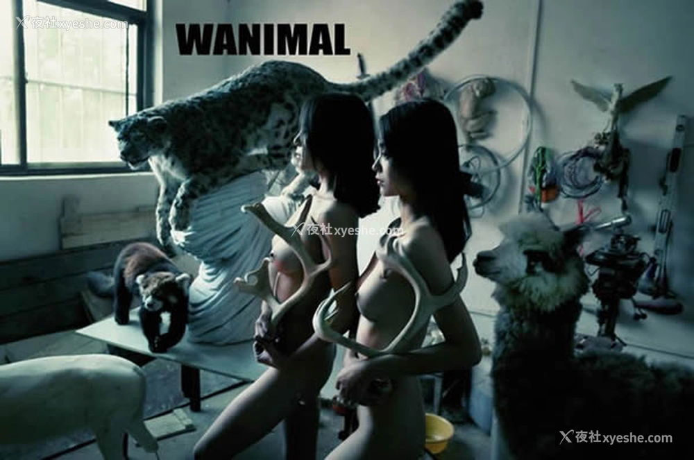 1P - WANIMAL王动出品2017年12月皮影戏系列无圣光写真