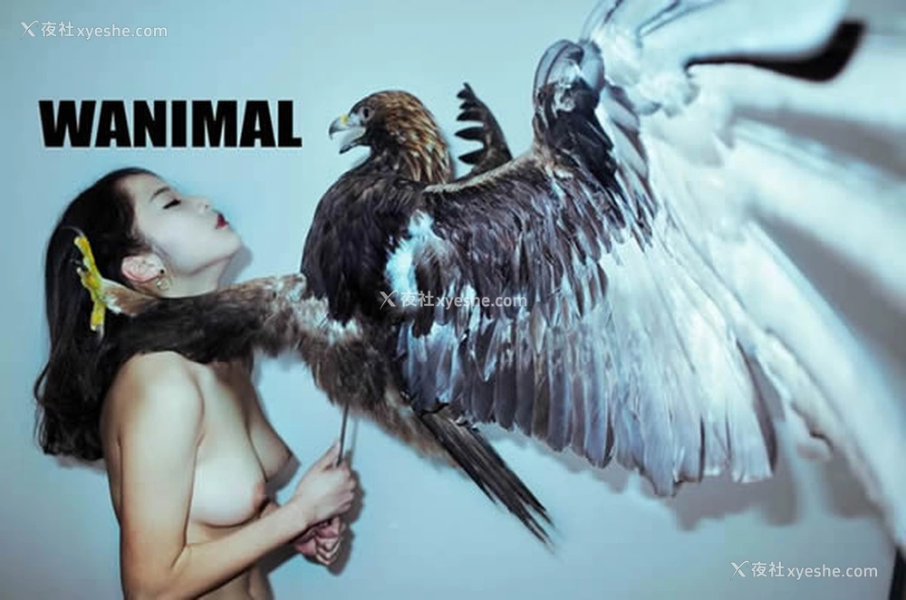 1P - WANIMAL王动出品2017年12月皮影戏系列无圣光写真