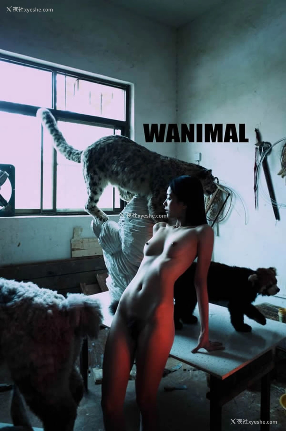1P - WANIMAL王动出品2017年12月皮影戏系列无圣光写真