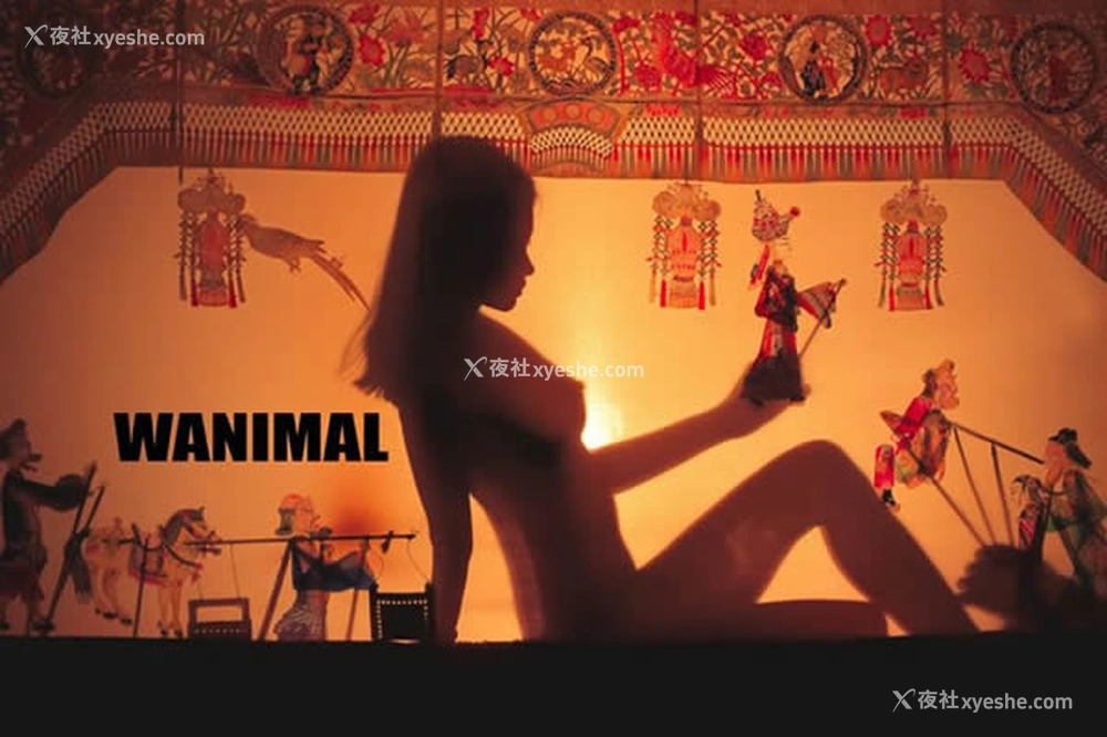 1P - WANIMAL王动出品2017年12月皮影戏系列无圣光写真