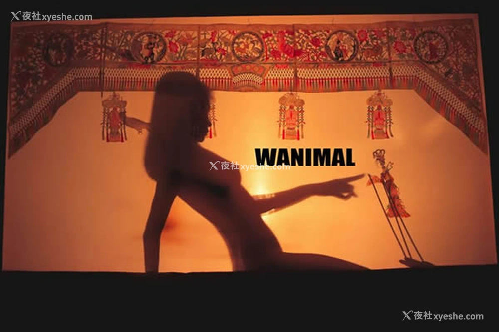 1P - WANIMAL王动出品2017年12月皮影戏系列无圣光写真