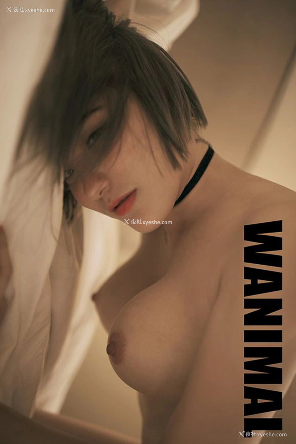 1P - 王动官方出品2017年12月VIP无圣光人体艺术4