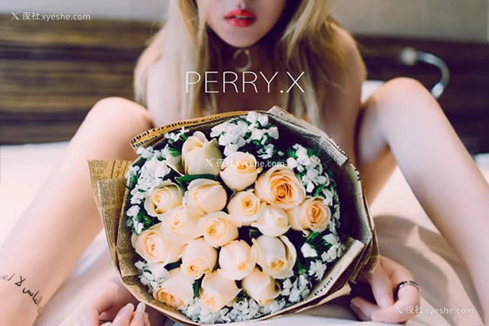 1P - 摄影师PERRY.X作品无圣光精品合辑2