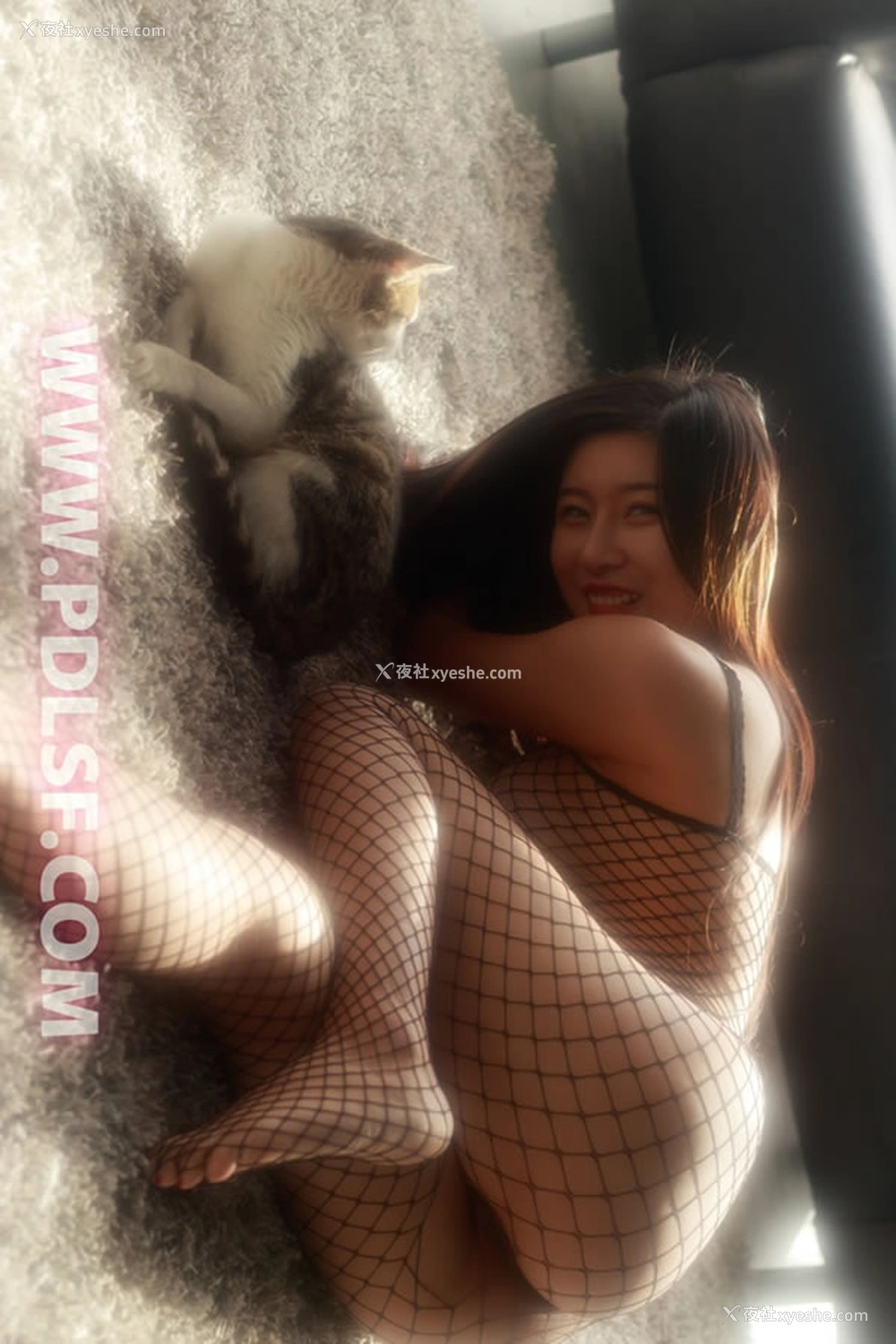 1P - 潘多拉精品No.221丰满熟妇闺中逗猫无圣光套图