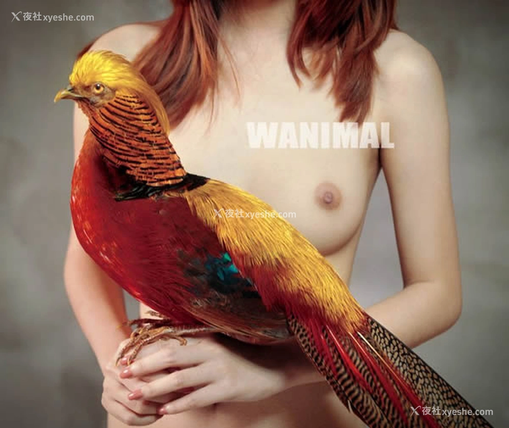 1P - 王动WANIMAL出品无圣光套图写真（一）