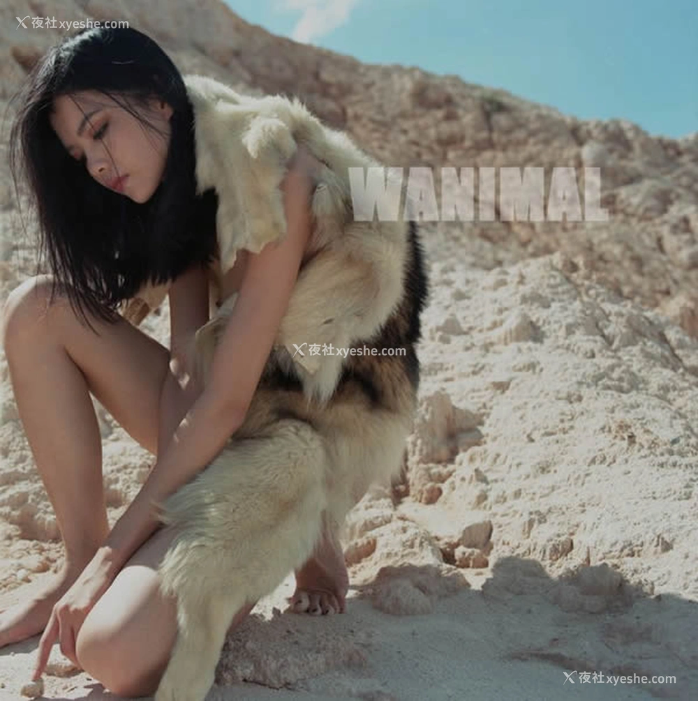 1P - 王动WANIMAL出品无圣光套图写真（一）