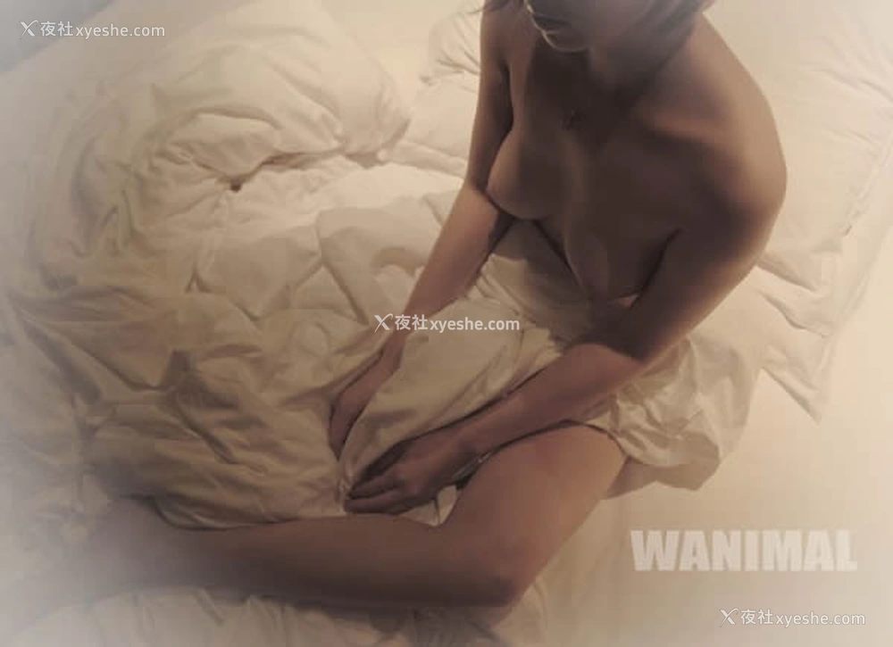 1P - 王动WANIMAL出品无圣光套图写真（一）