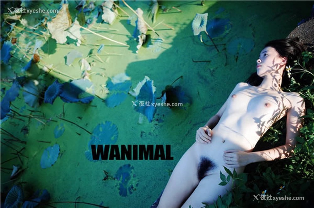 1P - 王动WANIMAL官方出品2016年8月VIP无圣光套图合集
