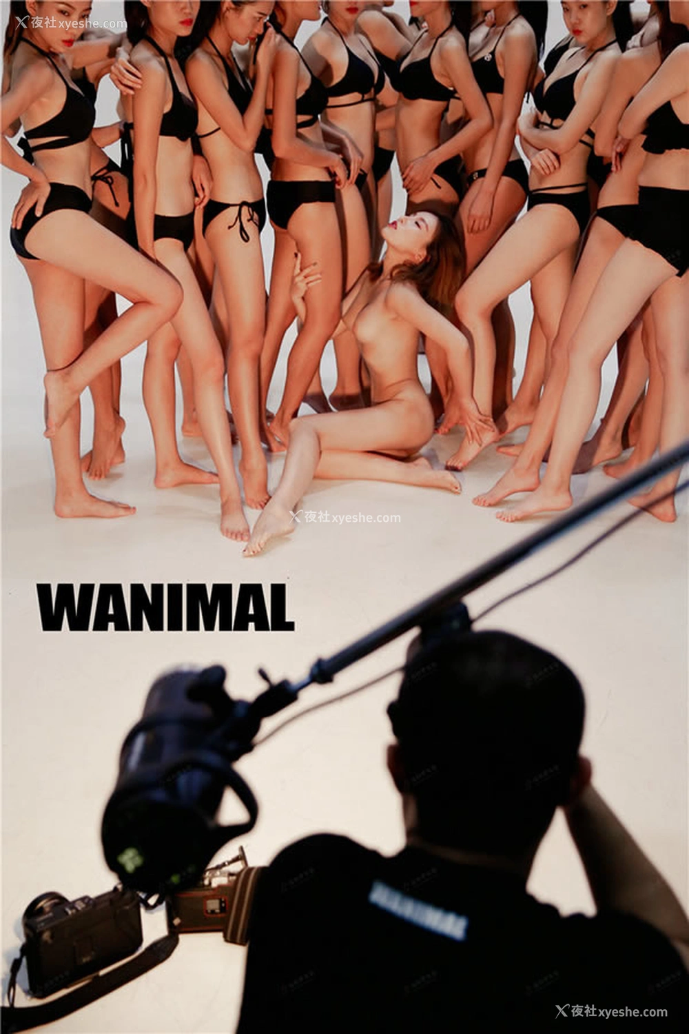 1P - 王动WANIMAL官方出品2016年8月VIP无圣光套图合集