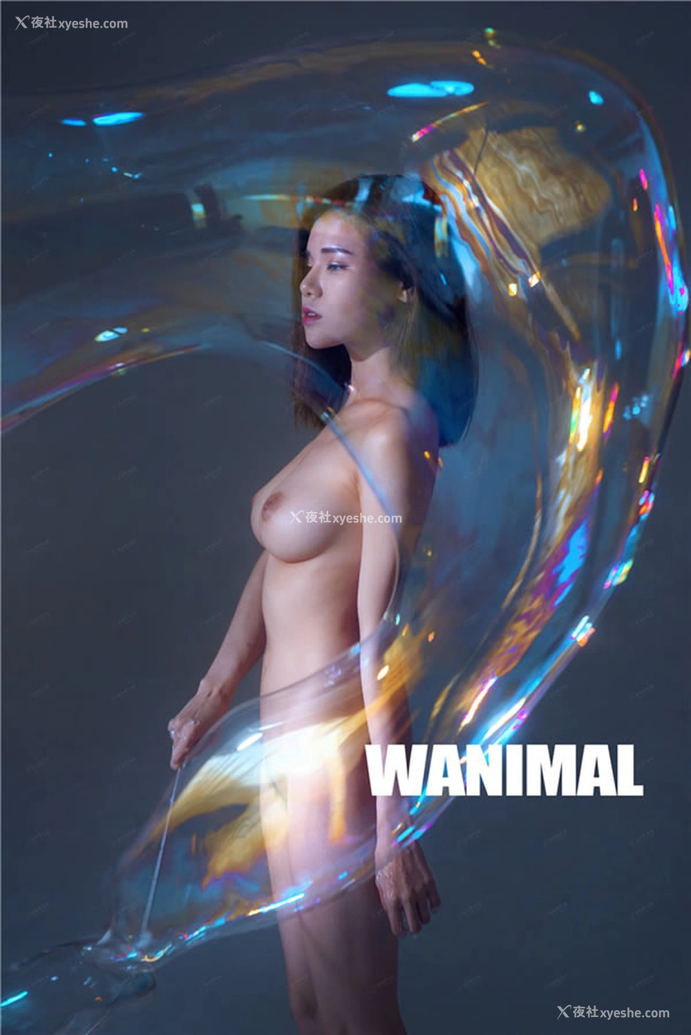 1P - 王动WANIMAL官方出品2016年8月VIP无圣光套图合集