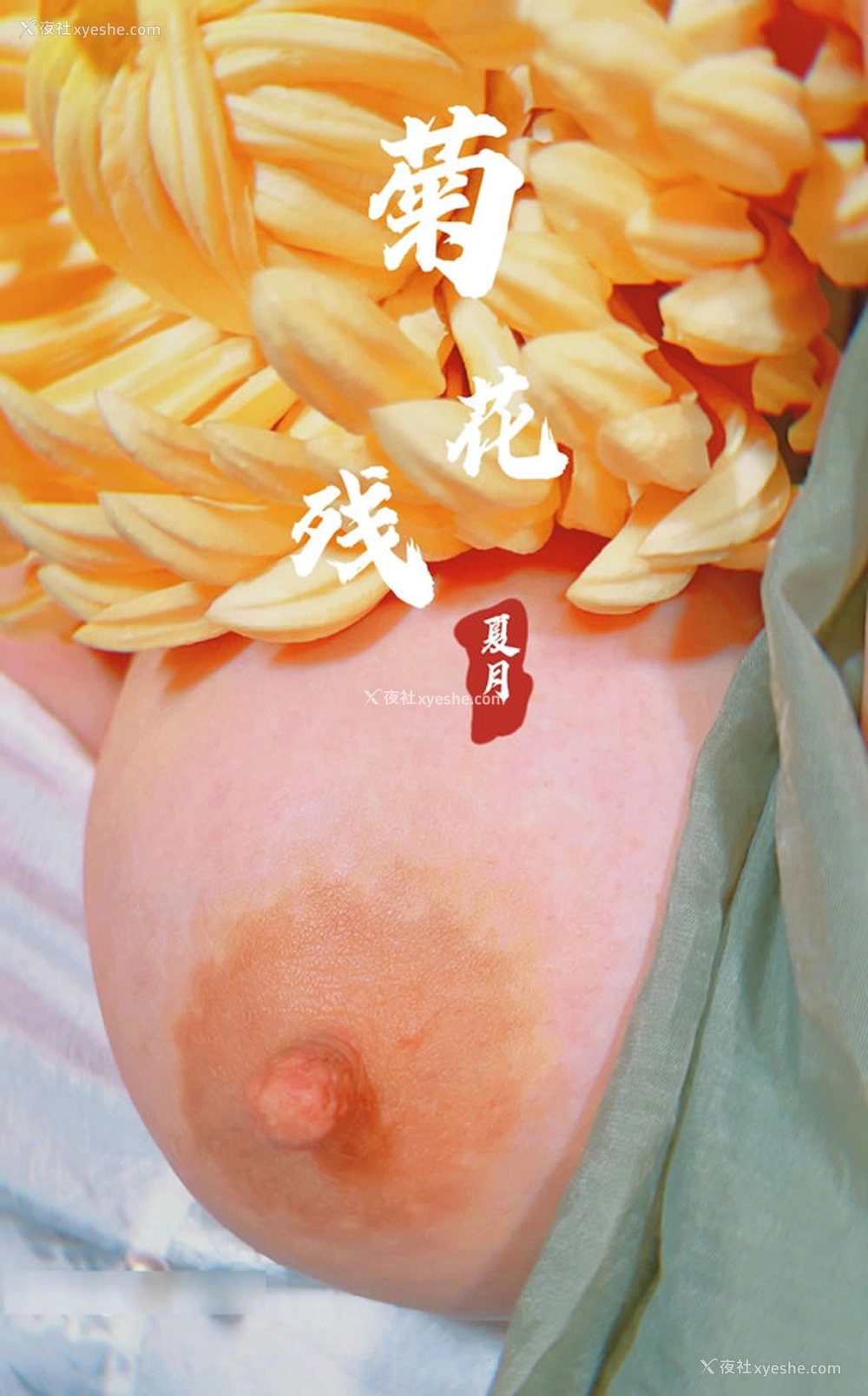 1P - 摄影师夏月出品古风唯美无圣光图集2