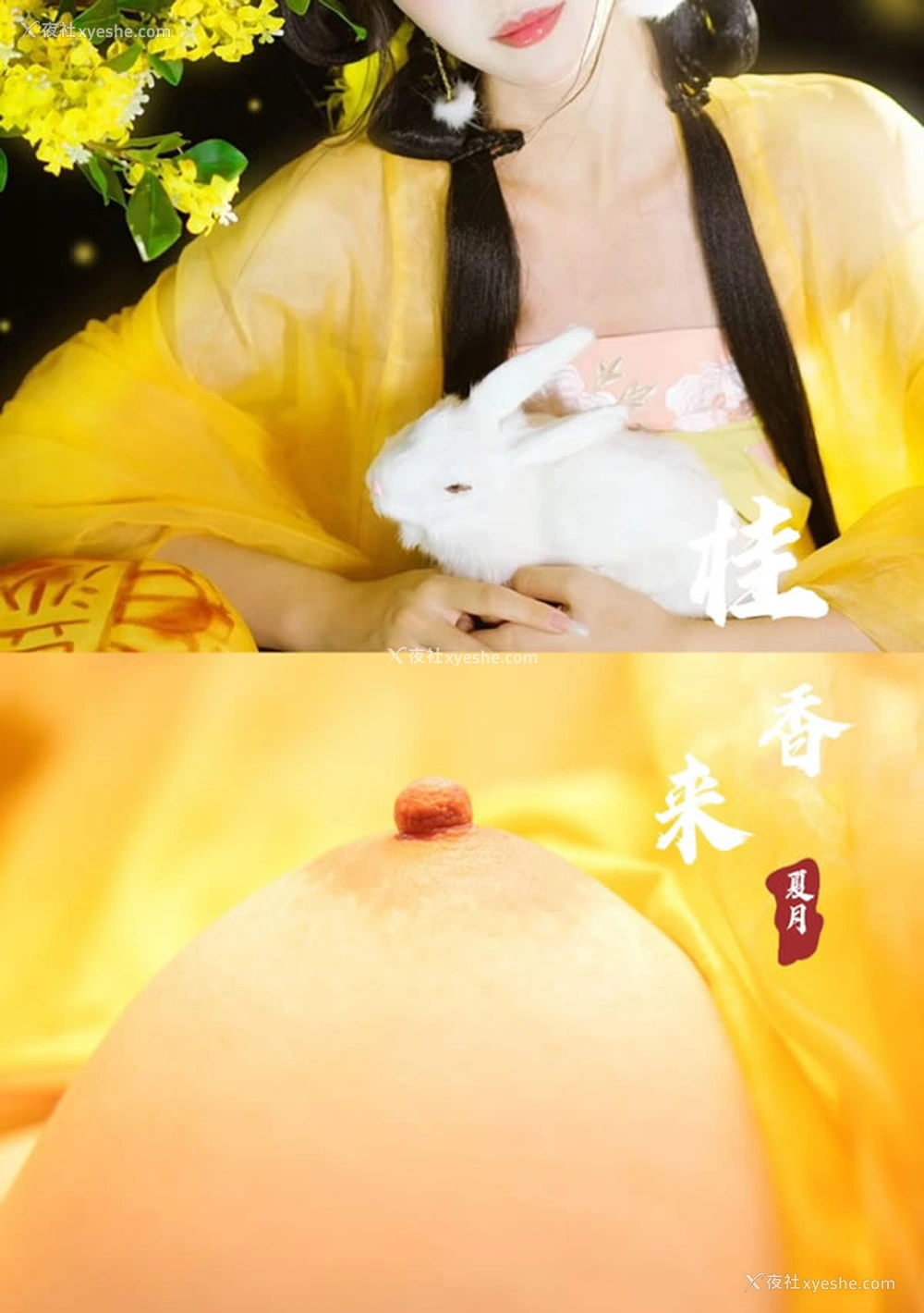 1P - 摄影师夏月出品古风唯美无圣光图集2
