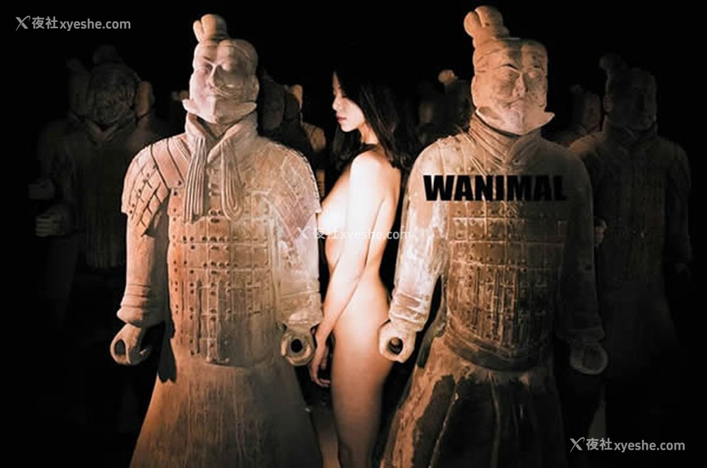 1P - WANIMAL王动官方出品2017年12月兵马俑无圣光套图