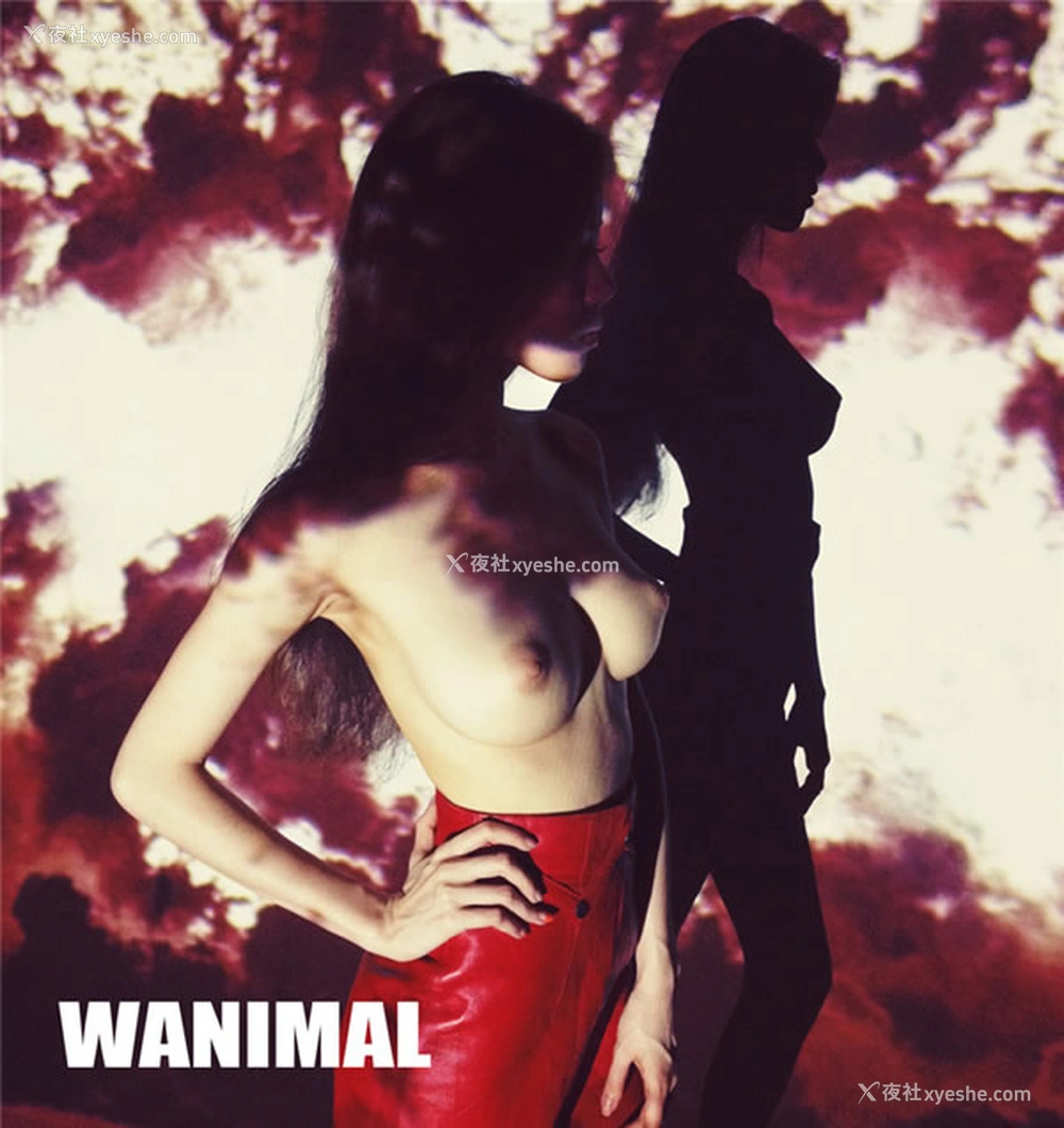 1P - 王动wanimal早期作品之无圣光人体艺术散图