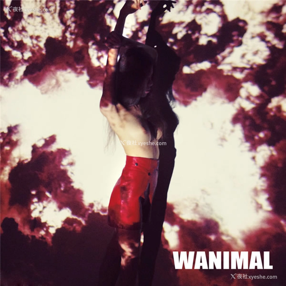 1P - 王动wanimal早期作品之无圣光人体艺术散图