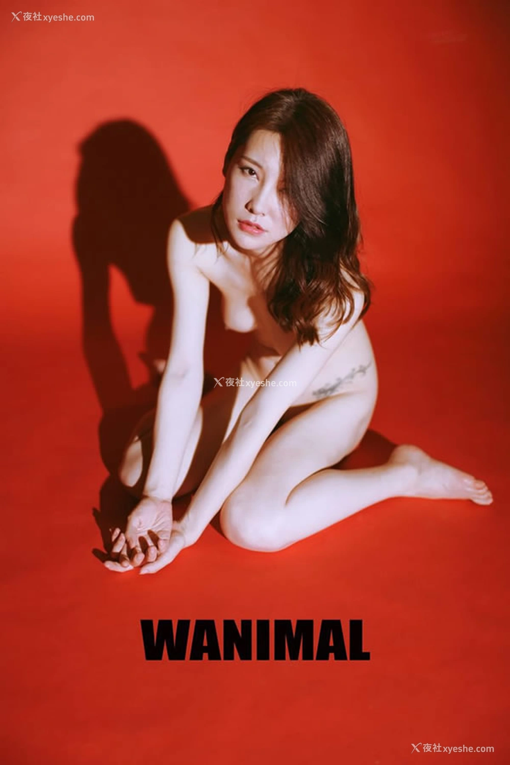 1P - 王动WANIMAL官方出品5月VIP无圣光人体艺术套图写真2