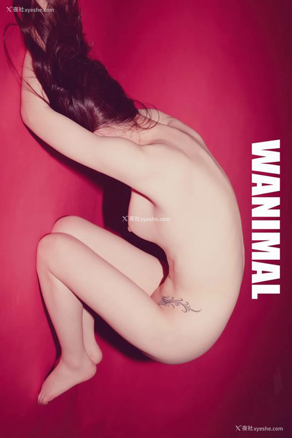 1P - 王动WANIMAL官方出品5月VIP无圣光人体艺术套图写真2