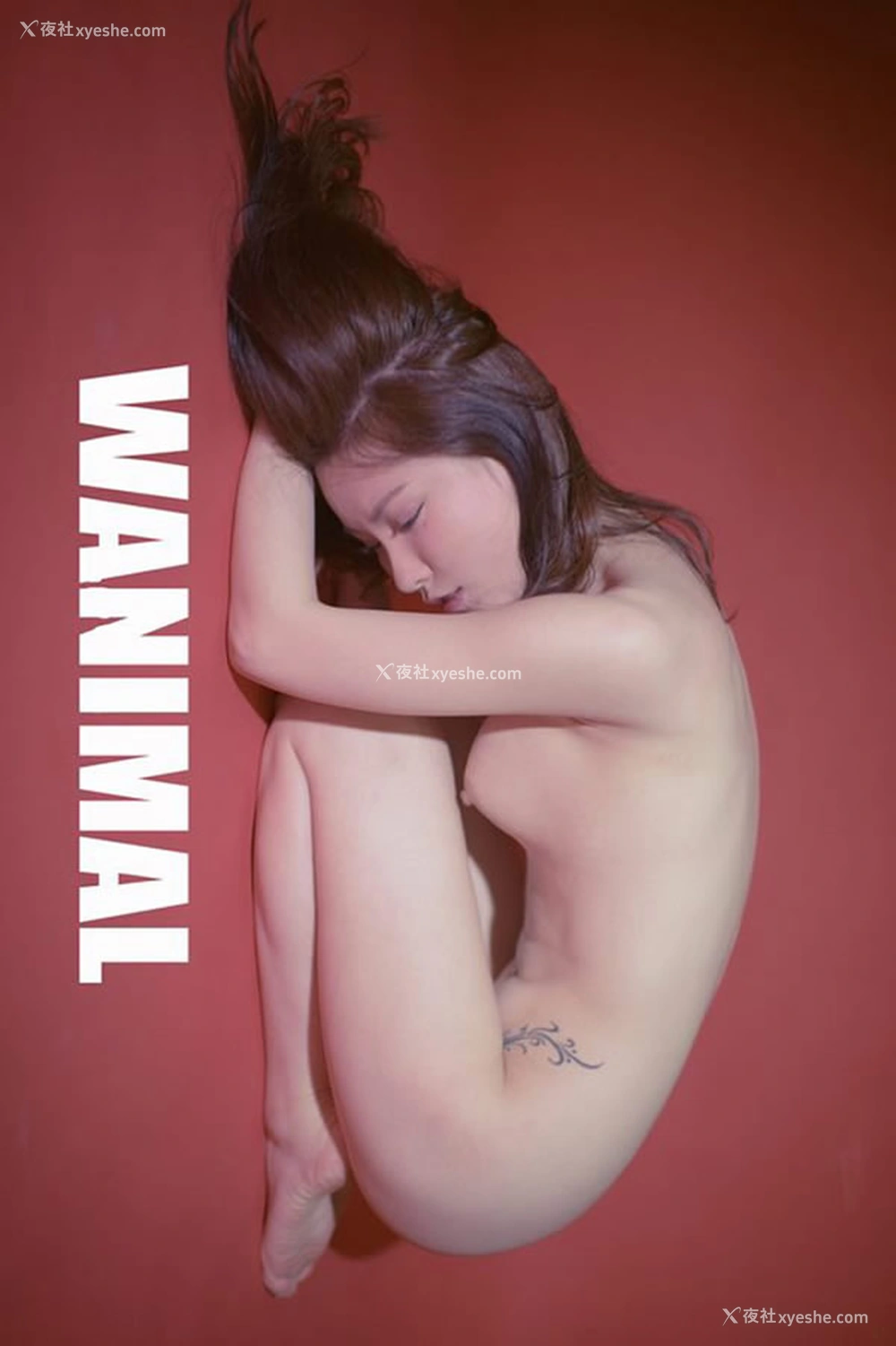 1P - 王动WANIMAL官方出品5月VIP无圣光人体艺术套图写真2