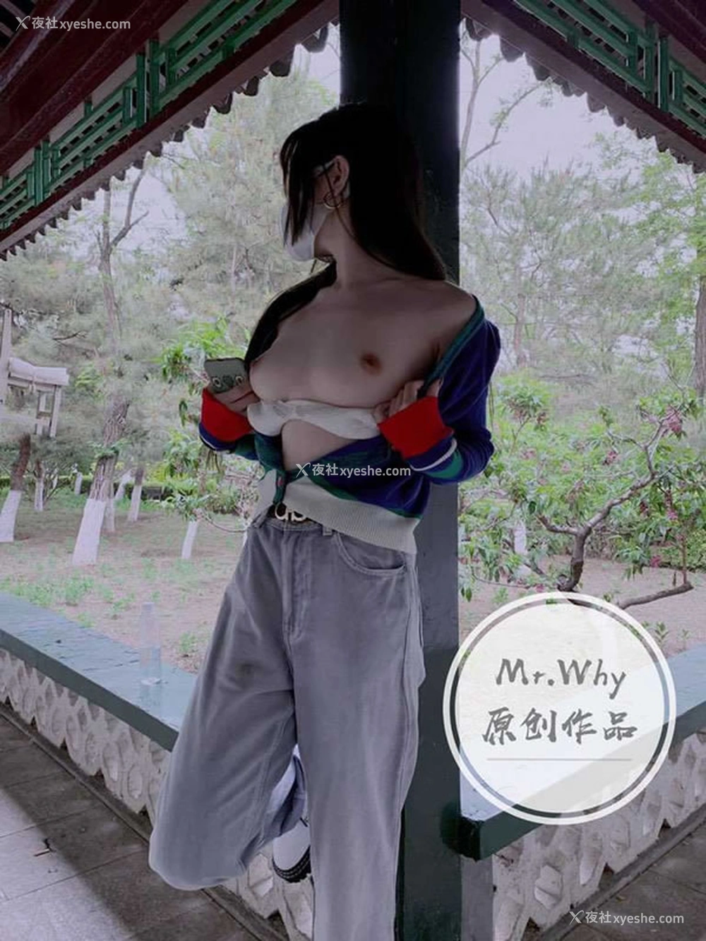 1P - 调教大佬@Mr.Why尺度私拍视图合集