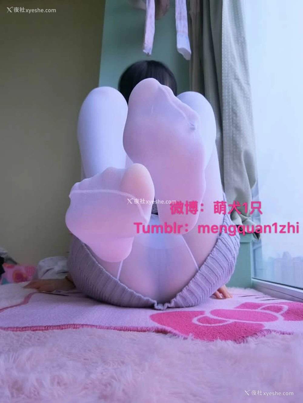 1P - 极品萝莉网红萌犬1只露背毛衣无圣光套图