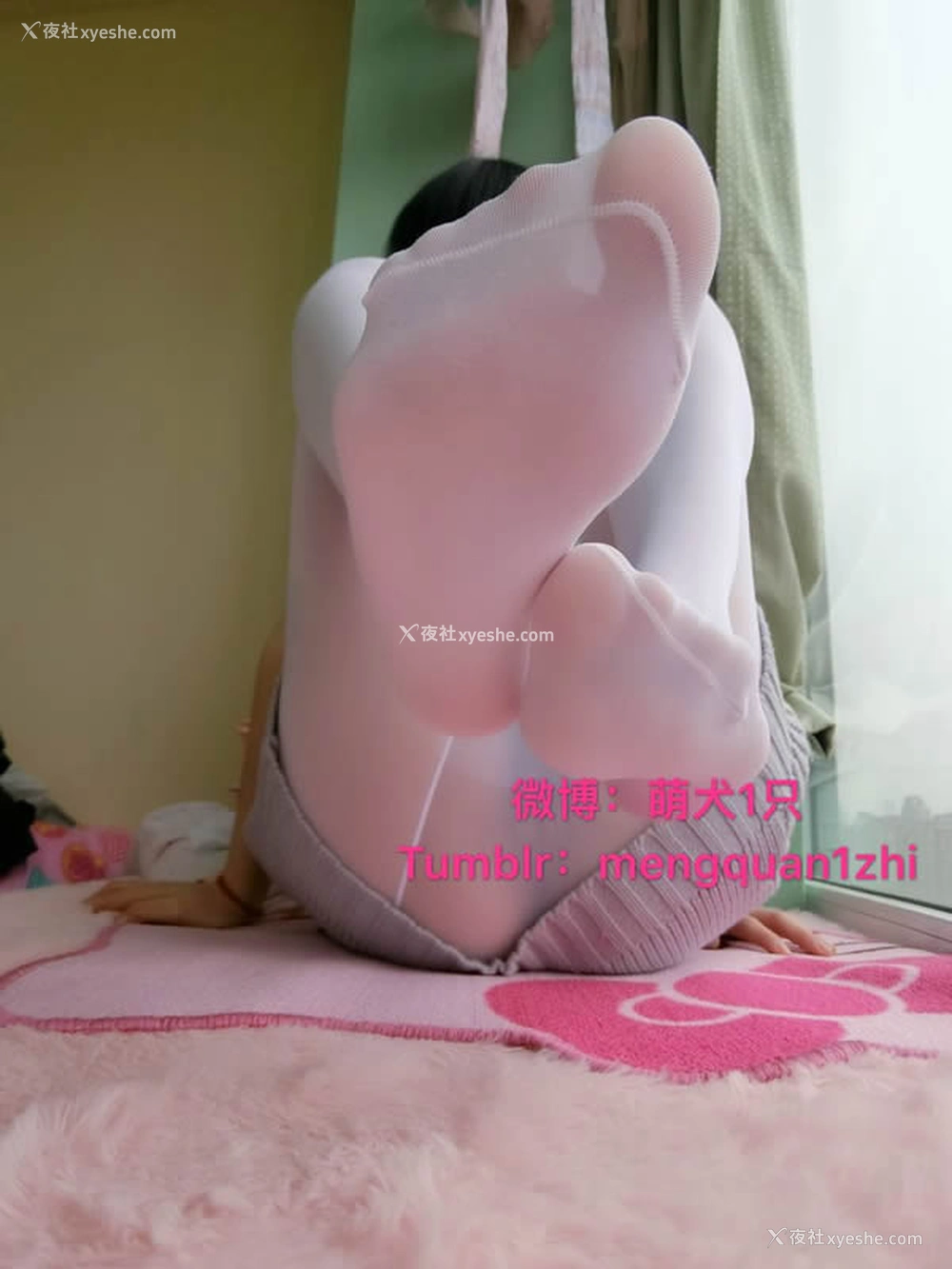 1P - 极品萝莉网红萌犬1只露背毛衣无圣光套图