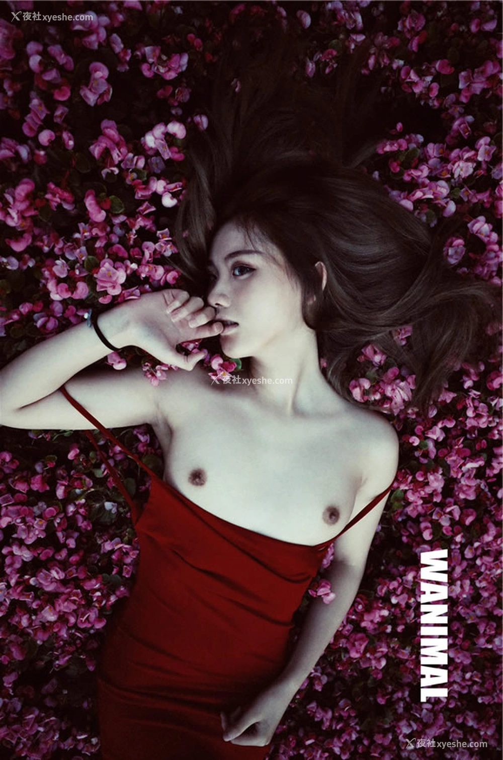 1P - 王动WANIMAL官方出品6月VIP无圣光套图合集