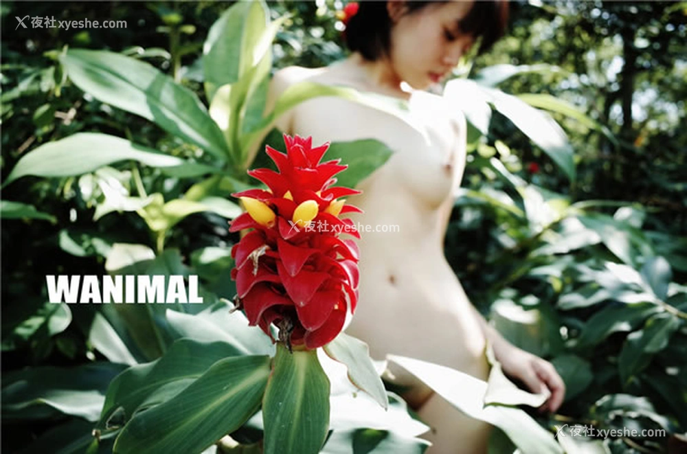 1P - 王动WANIMAL官方出品6月VIP无圣光套图合集