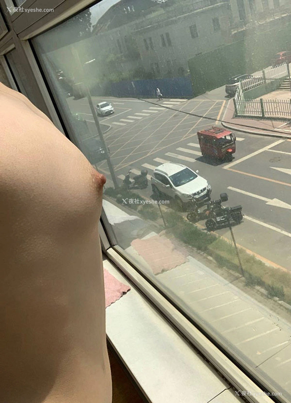 1P - 露出系网红@兔兔 居家黑森林尺度私拍视图
