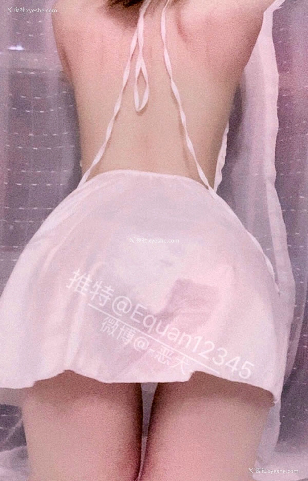 1P - 恶犬小姐姐-白网袜仙女无圣光套图