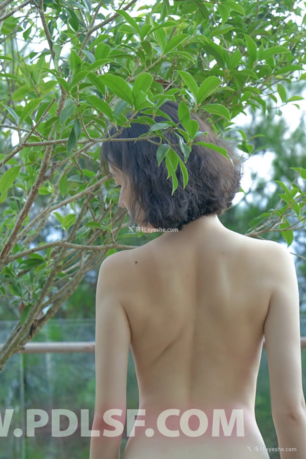 1P - 潘多拉精品No.223清澈小美女羞涩无圣光套图