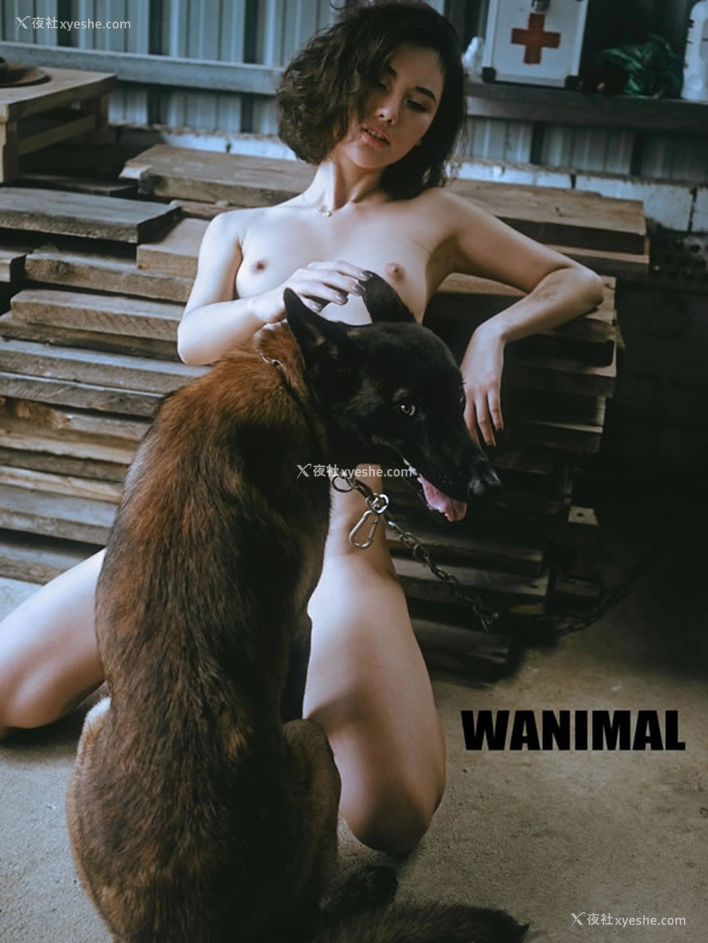 1P - 王动VIP精美视图无圣光人体写真回顾15