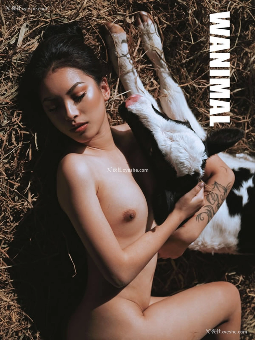 1P - 王动VIP精美视图无圣光人体写真回顾15