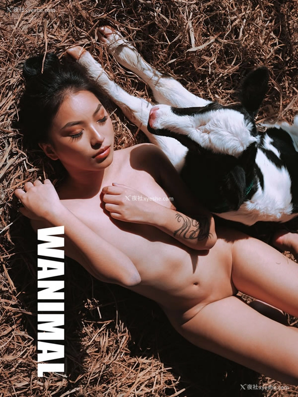 1P - 王动VIP精美视图无圣光人体写真回顾15
