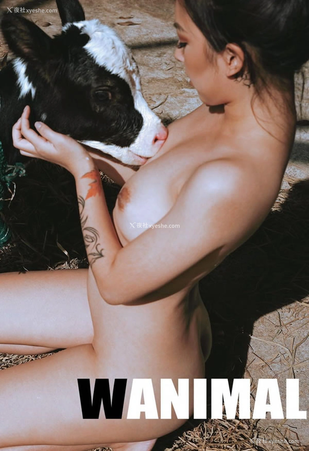 1P - 王动VIP精美视图无圣光人体写真回顾15